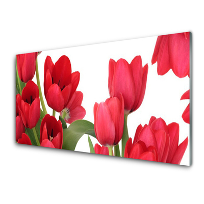 Glasfoto Tulipaner Blomster Plante