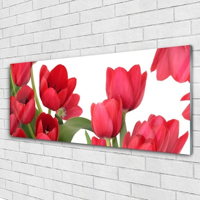 Glasfoto Tulipaner Blomster Plante