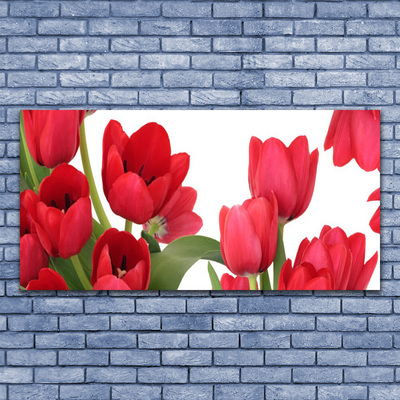 Glasfoto Tulipaner Blomster Plante