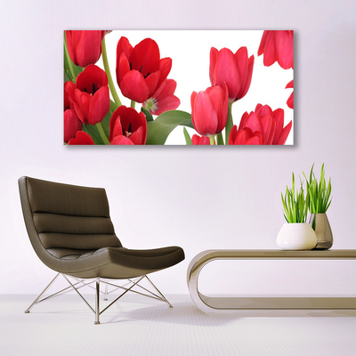 Glasfoto Tulipaner Blomster Plante