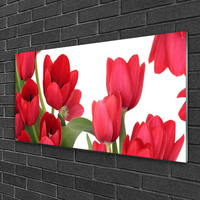 Glasfoto Tulipaner Blomster Plante