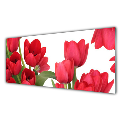 Glasfoto Tulipaner Blomster Plante