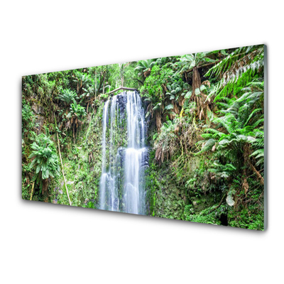 Glas billede Waterfall Trees Nature