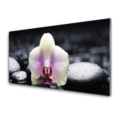 Glas billede Flower Orchid Plant