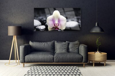 Glas billede Flower Orchid Plant