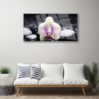 Glas billede Flower Orchid Plant