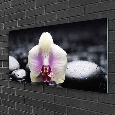 Glas billede Flower Orchid Plant