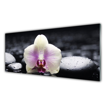 Glas billede Flower Orchid Plant