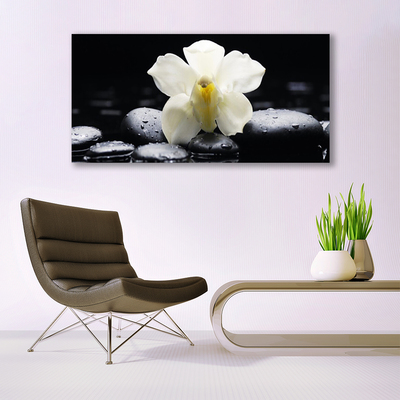 Billede glas Flower Orchid Plant