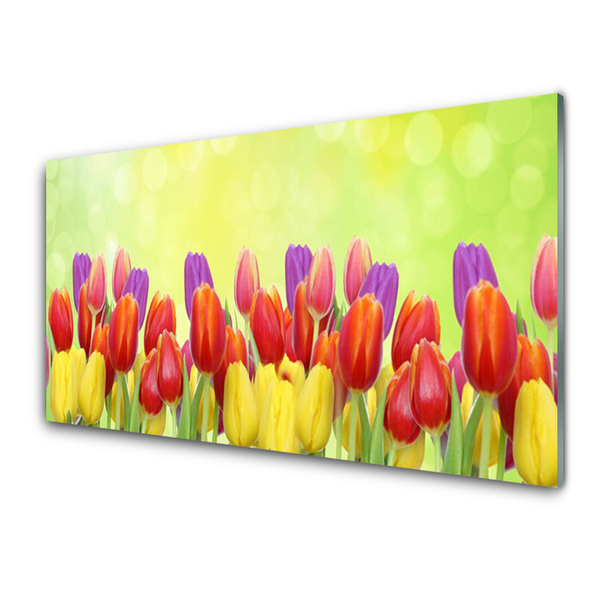 Billede glas Tulipaner Blomster Plante