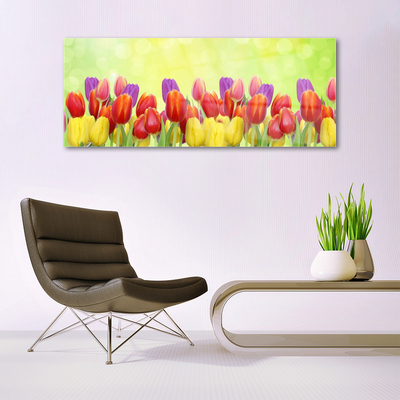 Billede glas Tulipaner Blomster Plante