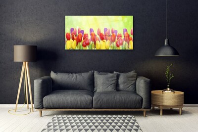 Billede glas Tulipaner Blomster Plante