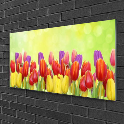 Billede glas Tulipaner Blomster Plante