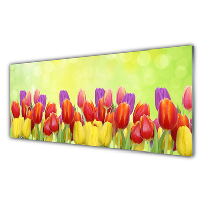 Billede glas Tulipaner Blomster Plante