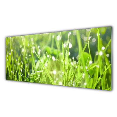 Glasbillede Grass Nature Plant