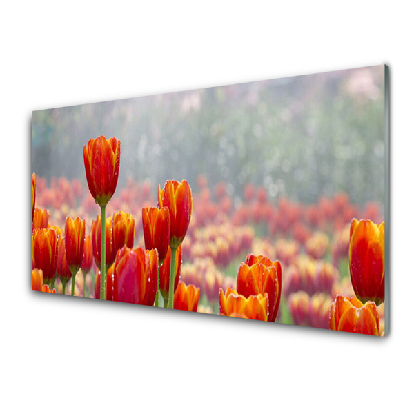 Glas billede Tulipaner Blomster Plante