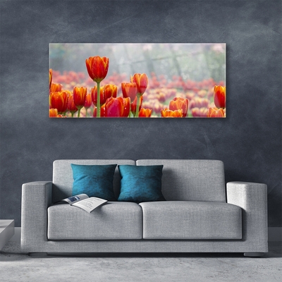 Glas billede Tulipaner Blomster Plante