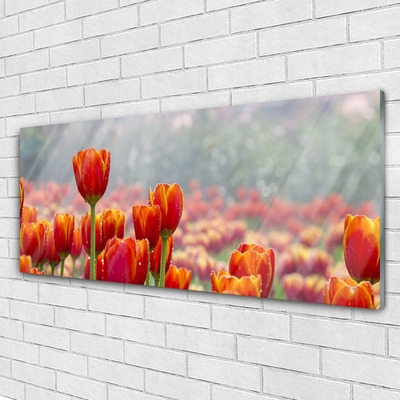 Glas billede Tulipaner Blomster Plante