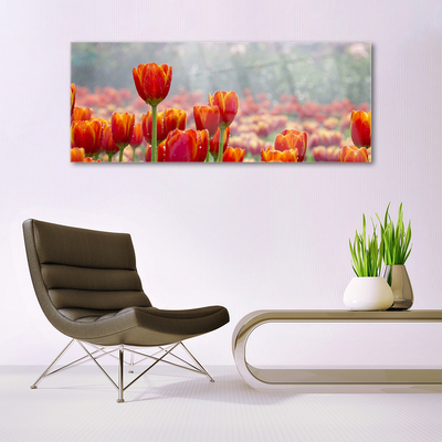 Glas billede Tulipaner Blomster Plante