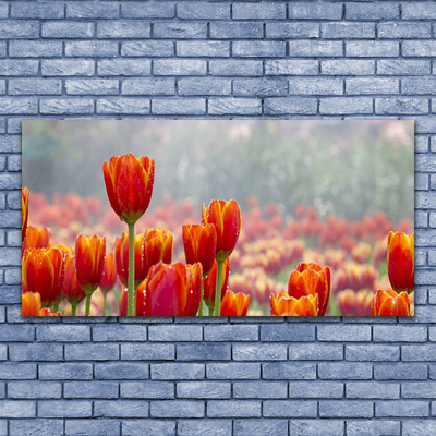 Glas billede Tulipaner Blomster Plante