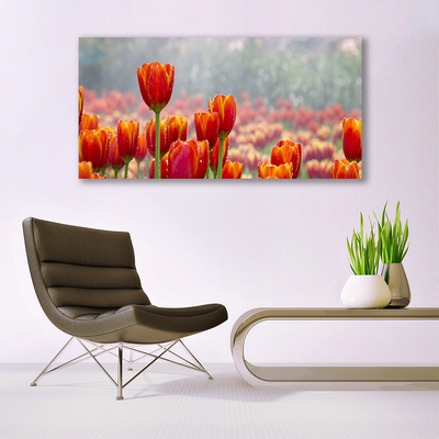 Glas billede Tulipaner Blomster Plante