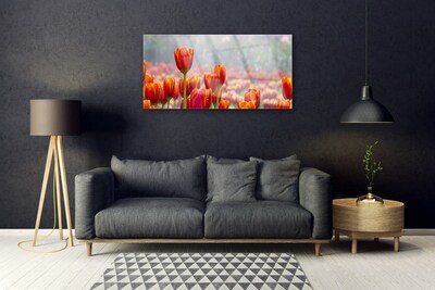 Glas billede Tulipaner Blomster Plante