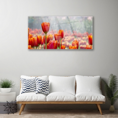 Glas billede Tulipaner Blomster Plante