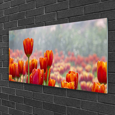 Glas billede Tulipaner Blomster Plante