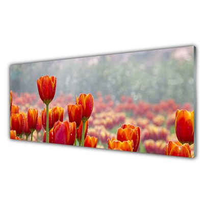 Glas billede Tulipaner Blomster Plante