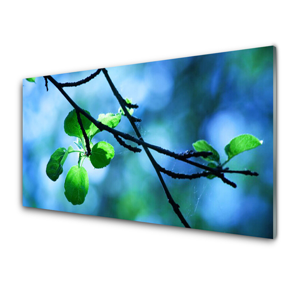 Billede glas Kvist Blad Plante Natur