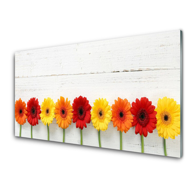 Glasfoto Blomster Plante Natur