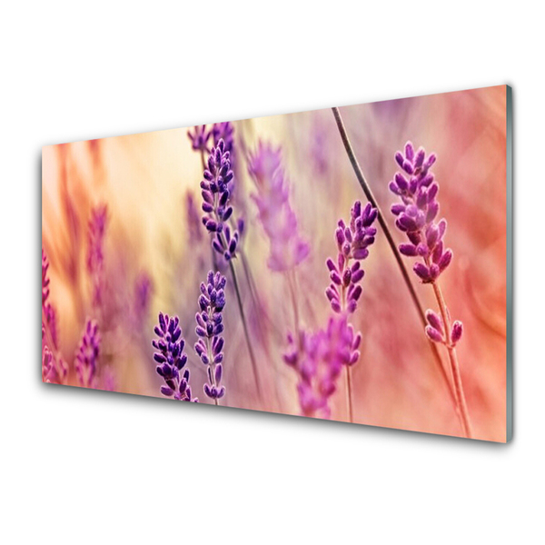 Billede glas Blomster Plante Natur