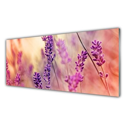 Billede glas Blomster Plante Natur