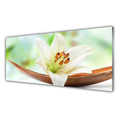 Billede glas Blomst Plante Natur