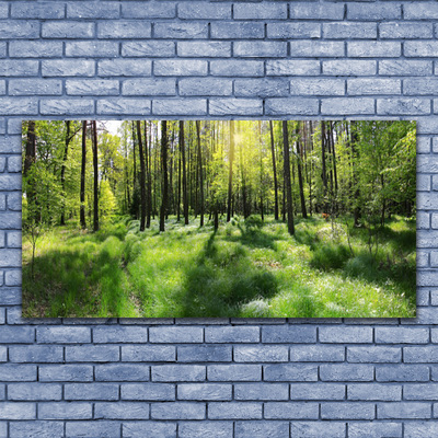 Billede på glas Skov Græs Plante Natur