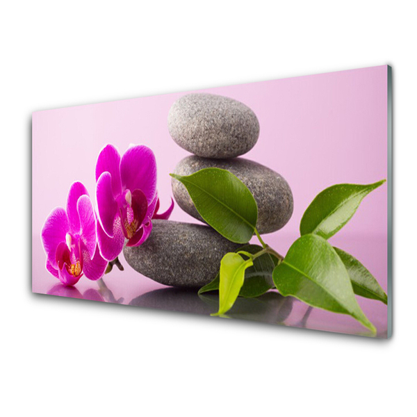 Billede glas Flower Orchid Zen Plant