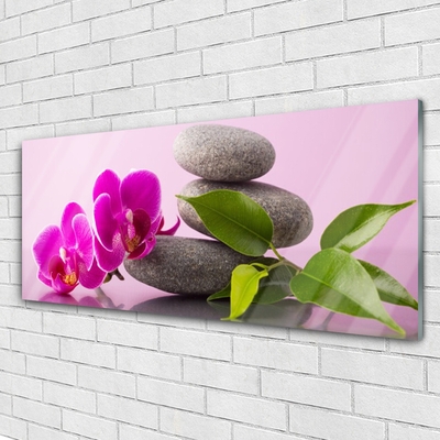 Billede glas Flower Orchid Zen Plant