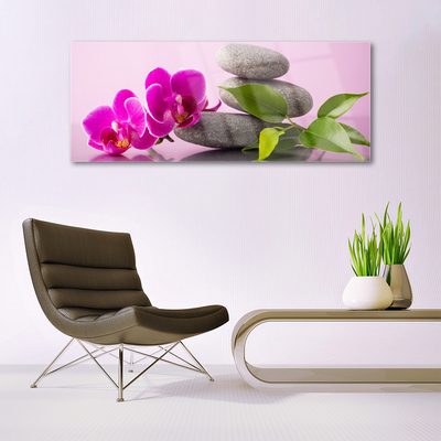 Billede glas Flower Orchid Zen Plant