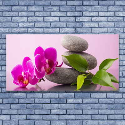 Billede glas Flower Orchid Zen Plant