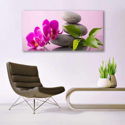 Billede glas Flower Orchid Zen Plant