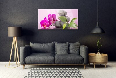 Billede glas Flower Orchid Zen Plant