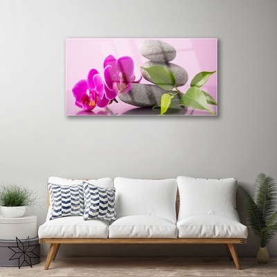 Billede glas Flower Orchid Zen Plant