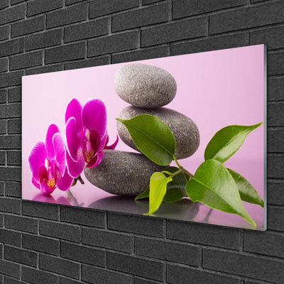 Billede glas Flower Orchid Zen Plant