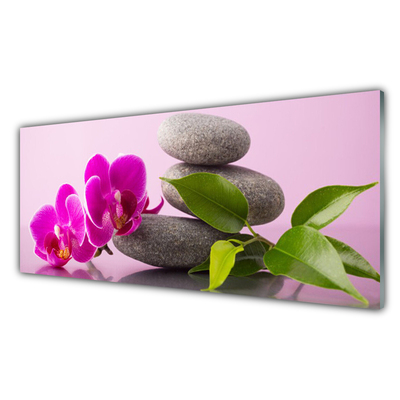 Billede glas Flower Orchid Zen Plant