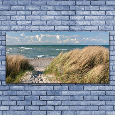 Billede glas Strand Havgræs Landskab