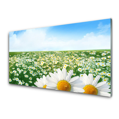 Glas billede Marguerit Blomster Eng Mark