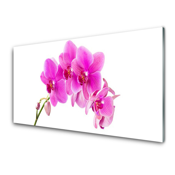 Billede i glas Orchid Flower Orchid