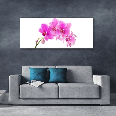 Billede i glas Orchid Flower Orchid