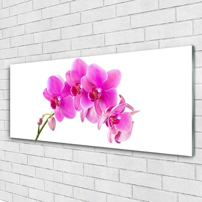 Billede i glas Orchid Flower Orchid