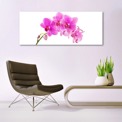 Billede i glas Orchid Flower Orchid